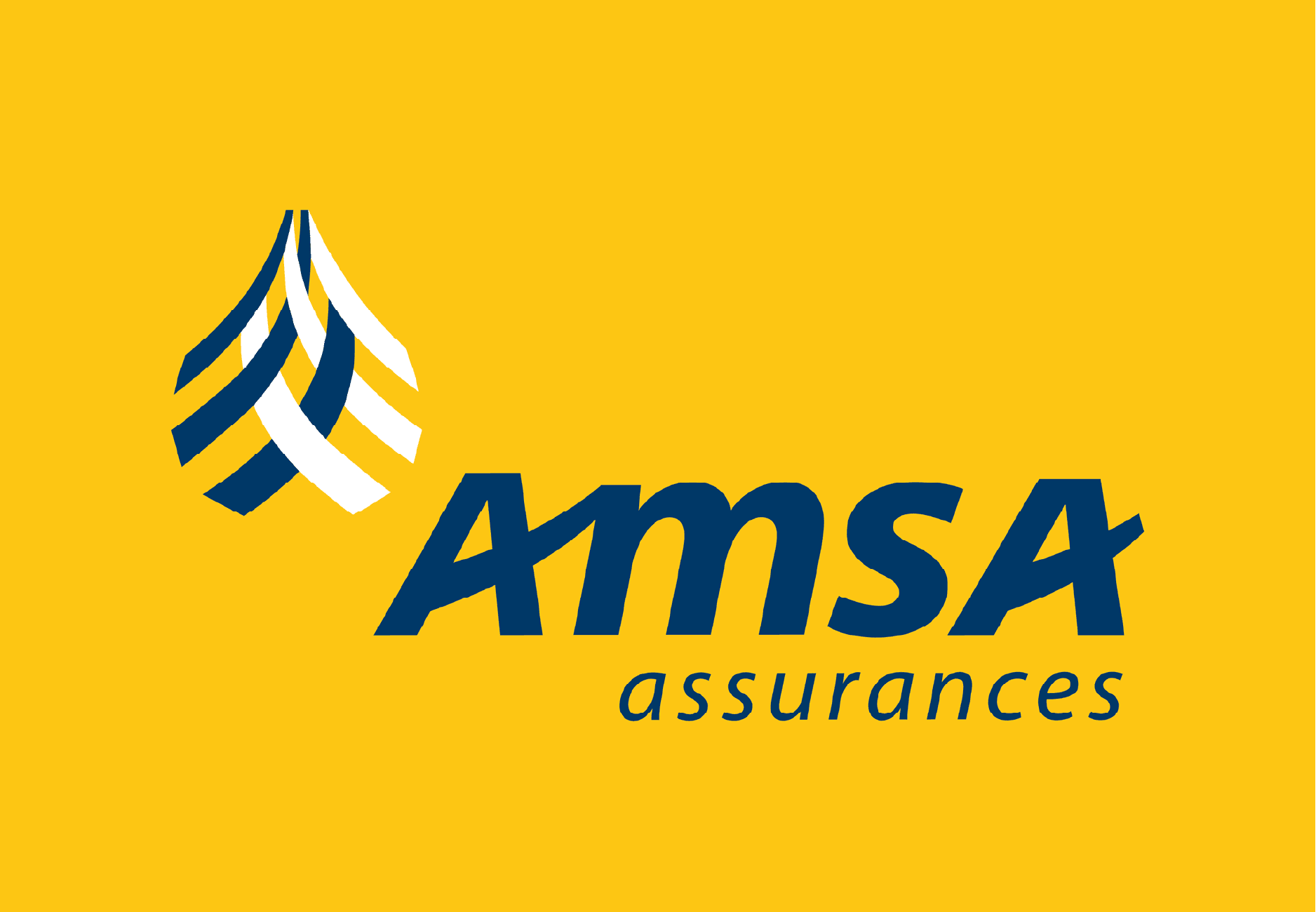 AMSA Assurances